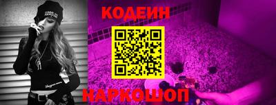 мдпв Дмитров