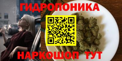 стаф Железногорск