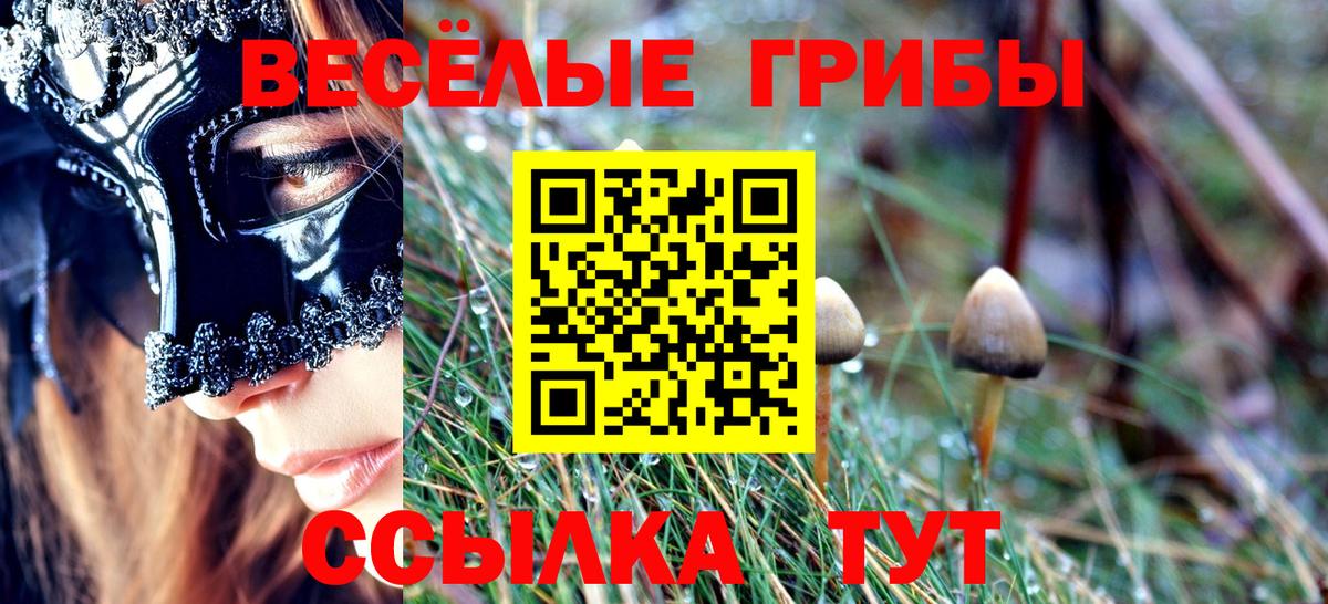 Дедовск  где продают наркотики  Вход с VPN  Галлюциногенные грибы GOLDEN TEACHER  Псилоцибиновые грибы Cubensis 